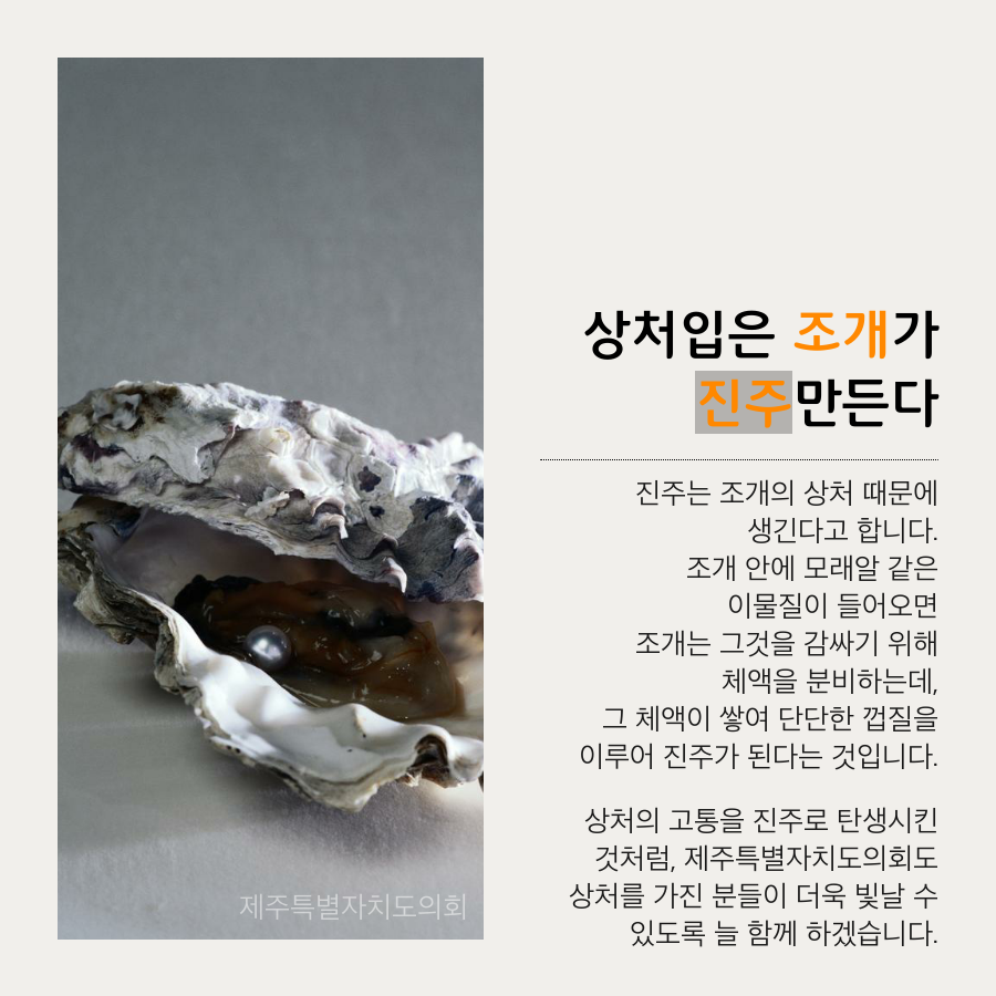 상처입은 조개가 진주를 만든다 진주는 조개의 상처 때문에 생기다고 합니다. 조개 안에 모래알 같은 이물질이 들어오면 조개는 그것을 감싸기 위해 체액을 분비하는데, 그 체액이 쌓여 단단한 껍질을 이루어 진주가 된다는 것입니다. 상처의 고통을 진주로 탄생시킨 것처럼 제주특별자치도의회도 상처를 가진 분들이 더욱 빛날수   있도록 늘 함께 하겠습니다.