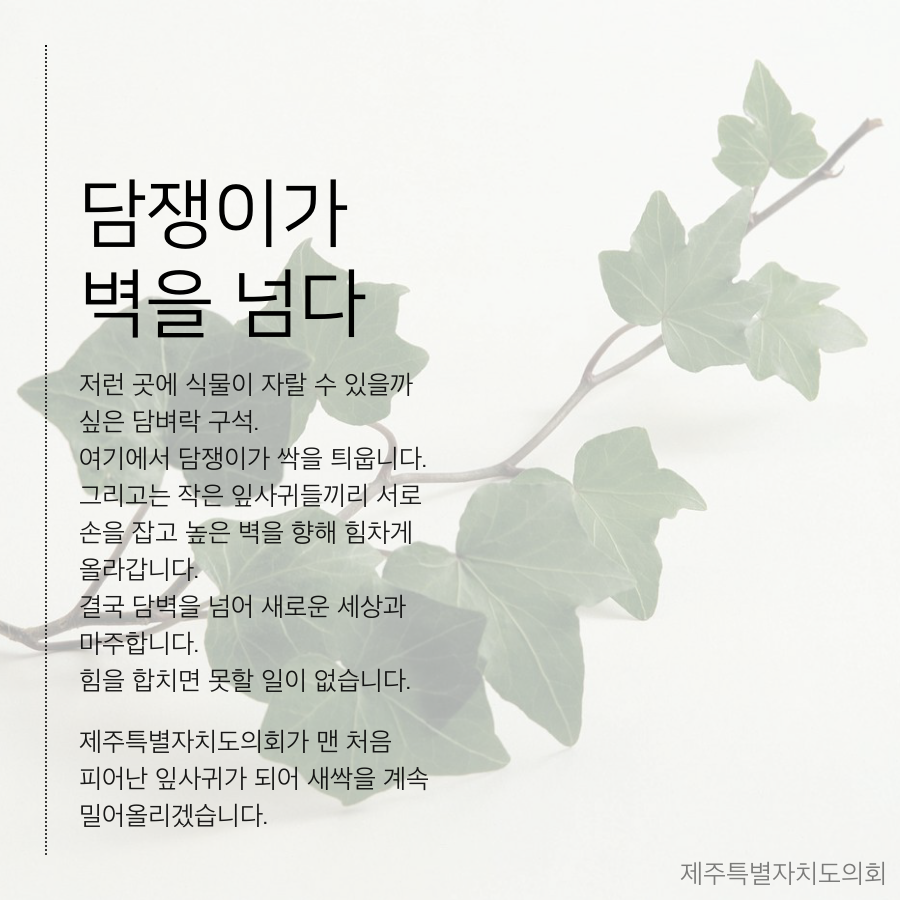 담쟁이가 벽을 넘다 저런곳에 식물이 자랄 수 있을까 싶은 담벼락 구석 여기에서 담쟁이가 싹을 틔웁니다. 그리고는 작은 잎사귀들끼리 서로 손을 잡고 높은 벽을 향해 힘차게 올라갑니다. 결국 담벽을 넘어 새로운 세상과 마주합니다. 힘을 합치면 못할 일이 없습니다. 제주특별자치도의회가 맨 처음 피어난 잎사귀가 되어 새싹을 계속 밀어올리겠습니다. 제주특별자치도의회