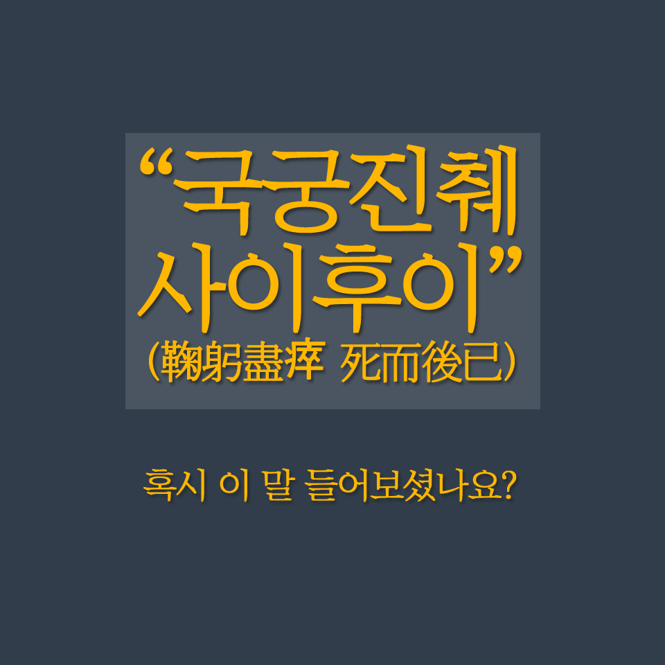 국궁진췌 사이후이 혹시 이 말 들어보셨나요?