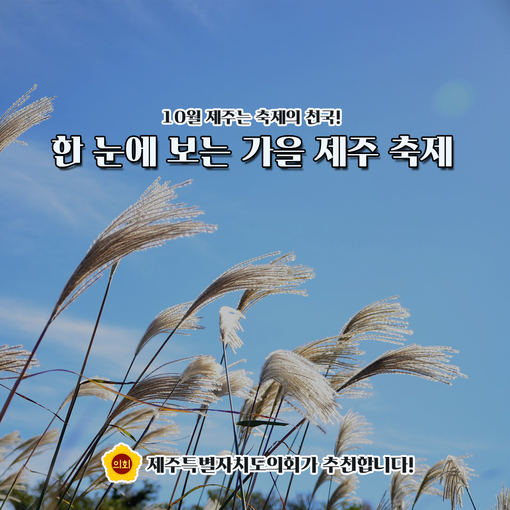 10월 제주는 축제의 천국! 한 눈에 보는 가을 제주 축제 제주특별자치도의회가 추천합니다!