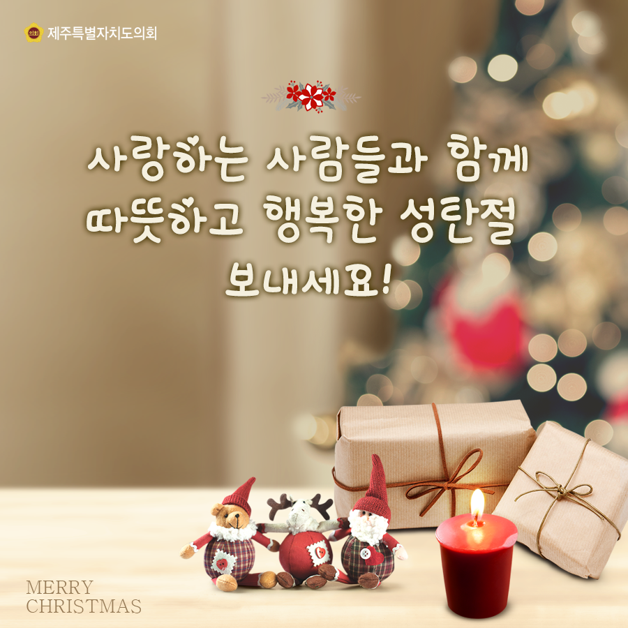 사랑하는 사람들과 함께 따뜻하고 행복한 성탄절 보내세요!