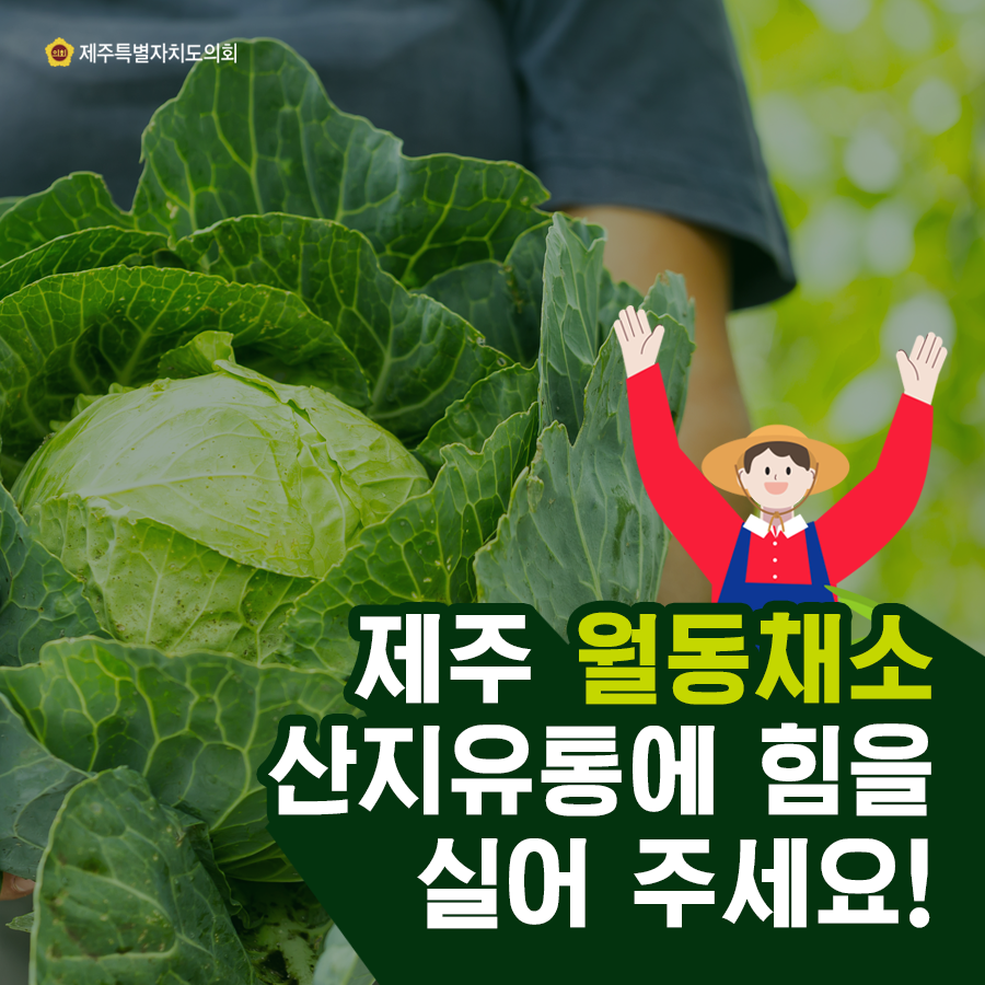 제주월동채소 산지유통에 힘을 실어 주세요