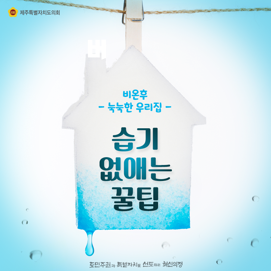비온후 눅눅한 우리집 습기 없애는 꿀팁