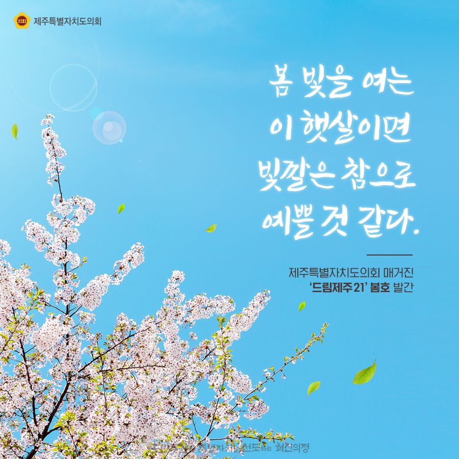 봄 빛을 여는 이 햇살이면 빛깔은 참으로 예쁠 것 같다. 제주특별자치도의회 매거진 '드림제주21 봄호'발간