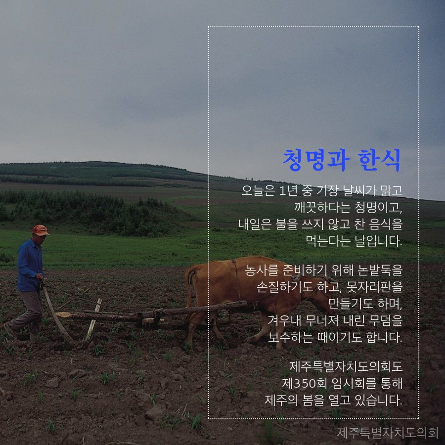 청명과 한식 오늘은 1년 중 가장 날씨가 맑고 깨끗하다는 청명이고, 내일은 불을 쓰지 않고 찬 음식을 먹는다는 날입니다. 농사를 준비하기 위해 논밭둑을 손질하기도 하고, 못자리판을 만들기도 하며, 겨우내 무너져 내린 무덤을 보수하는 때이기도 합니다. 제주특별자치도의회도 제350회 임시회를 통해 제주의 봄을 열고 있습니다.