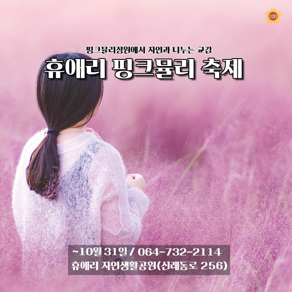핑크뮬리정원에서 자연과 나누는 교감 휴애리 핑크뮬리 축제 ~10월 31일 / 064-732-2114 휴애리 자연생활공원(신례동로 256)