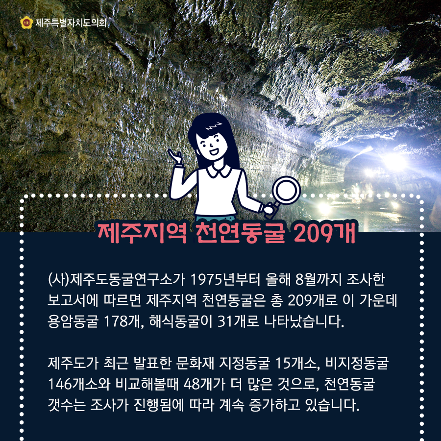 제주지역 천연동굴 209개   (사)제주도동굴연구소가 1975년부터 올해 8월까지 조사한 보고서에 따르면 제주지역 천연동굴은 총 209개로 이가운데 용암동굴 178개, 해식동굴이 31개로 나타났습니다.  제주도가 최근 발표한 문화재 지정동굴 15개소, 비지정동굴 146개소와 비교해볼때 48개가 더 많은 것으로, 천연동굴 갯수는 조사가 진행됨에 따라 계속 증가하고 있습니다.