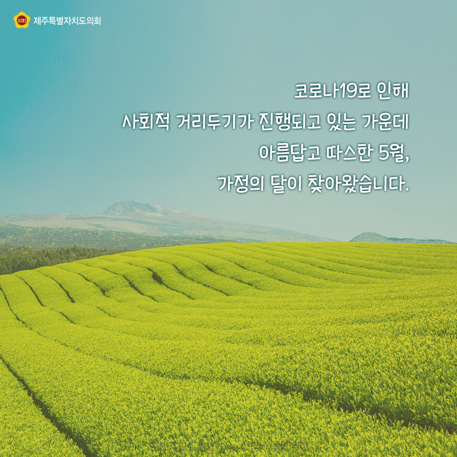코로나19로 인해 사회적거리두기가 진행되고있는 가운데 아름답고 따스한 5월, 가정의 달이 찾아왔습니다.