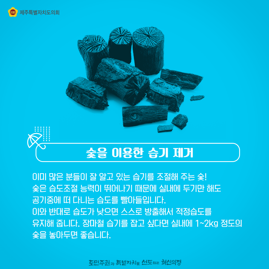 숯을 이용한 습기 제거   이미 많은 분들이 잘 알고 있는 습기를 조절해 주는 숯! 숯은 습도조절 능력이 뛰어나기 때문에 실내에 두기만 해도 공기중에 떠 다니는 습도를 빨아들입니다. 이와 반대로 습도가 낮으면 스스로 방출해서 적정습도를 유지해 줍니다. 장마철 습기를 잡고 싶다면 실내에 1~2킬로 정도의 숯을 놓아두면 좋습니다