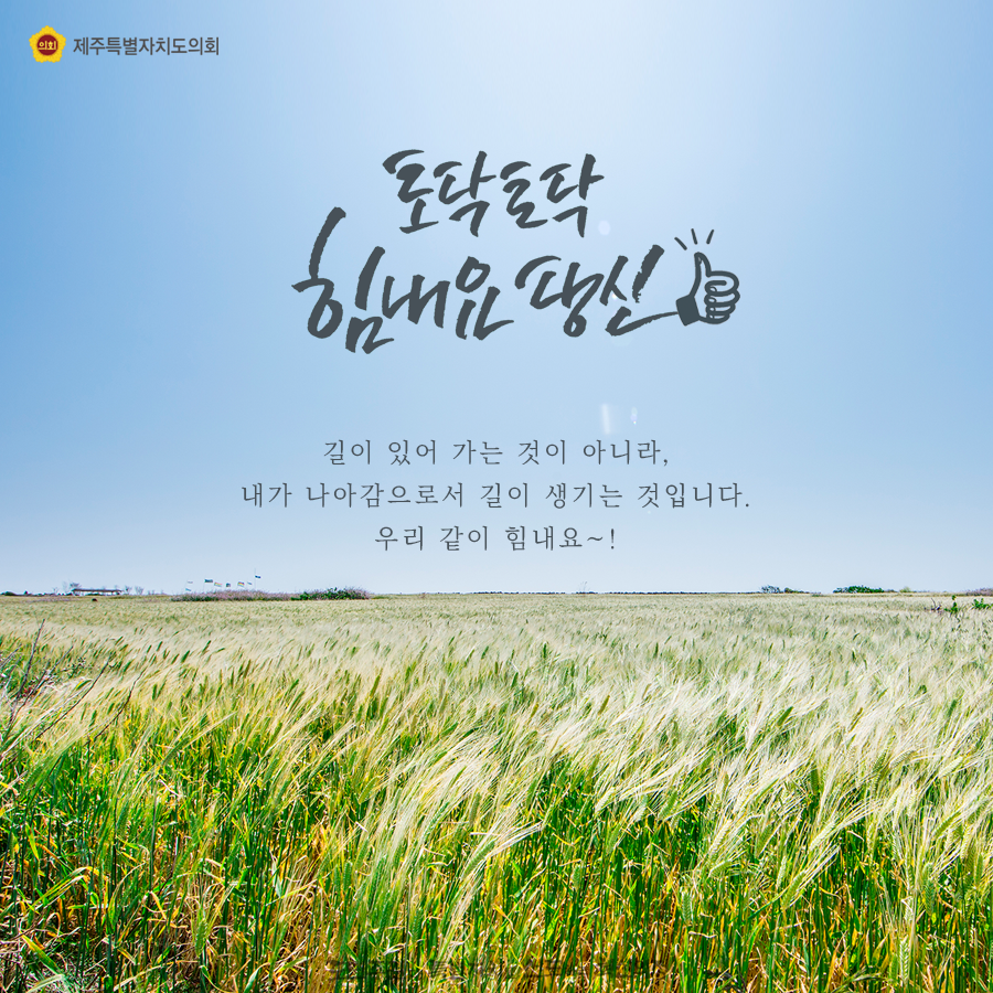 토닥토닥 힘내요 당신~  길이 있어 가는것이 아니라 내가 나아감으로서 길이 생기는 것입니다. 우리같이 힘내요