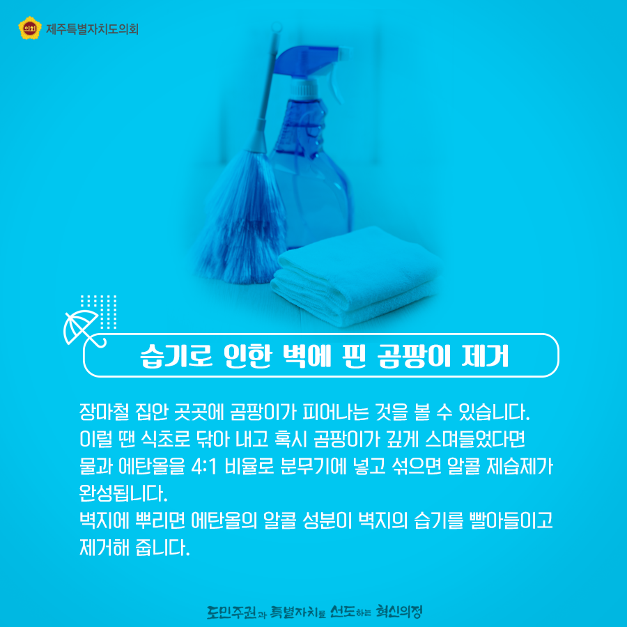습기로 인한 벽에 핀 곰팡이 제거 장마철 집안곳곳에 곰팡이가 피어나는 것을 볼 수 있습니다. 이럴땐 식초로 닦아내고 혹시 곰팡이가 깊게 스며들었다면 물과 에탄올을 4:1비율로 분무기에 넣고 섞으면 알콜 제습제가 완성됩니다. 벽지에 뿌리면 에탄올의 알콜성분이 벽지에 습기를 빨아들이고 제거해 줍니다.