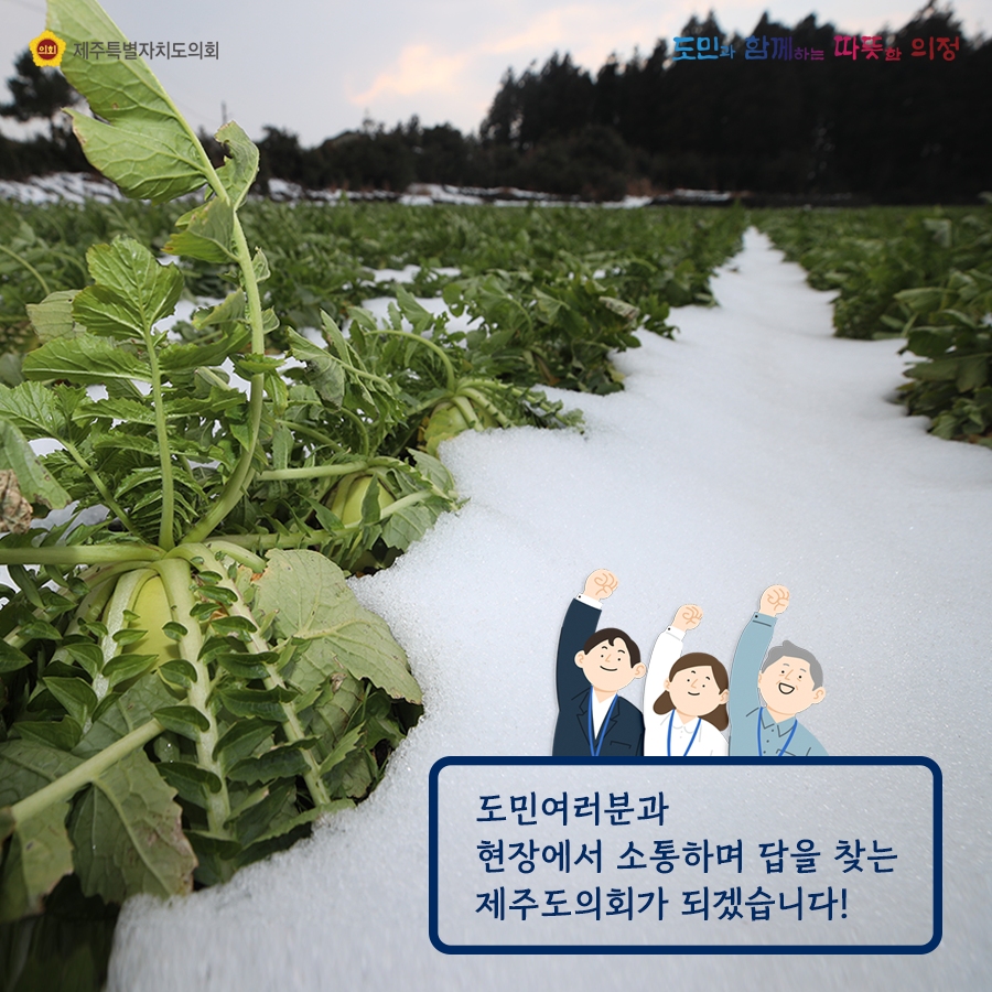 도민여러분과 현장에서 소통하며 답을 찾는 제주도의회가 되겠습니다!