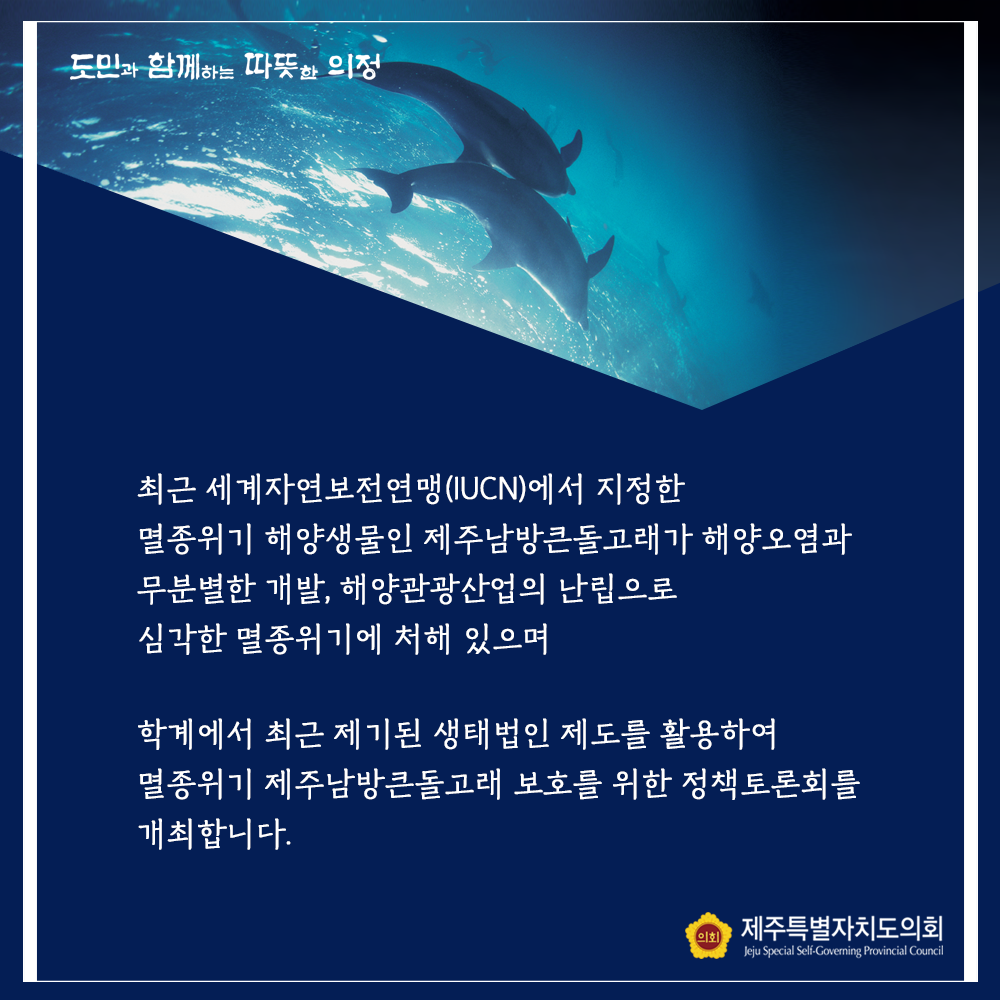제주남방큰돌고래 보호를 위한 정책토론회