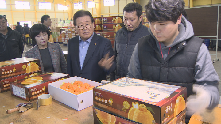 고품질 감귤재배농가 방문