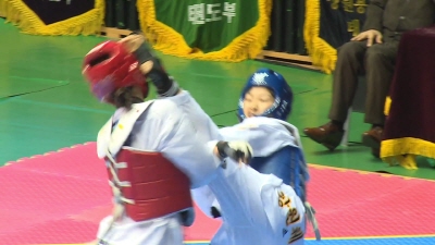 제14회 제주평화기 전국태권도대회 - 한라체육관