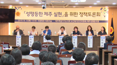 『성평등한 제주 실현』을 위한 정책토론회 개최
