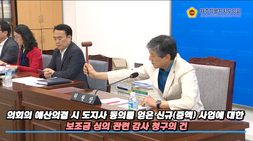 제382회 임시회 폐회중 행정자치위원회 제2차 회의(의회의 예산의결 시 도지사 동의를 얻은 신규(증액) 사업에 대한 보조금 심의 관련 감사 청구의 건)