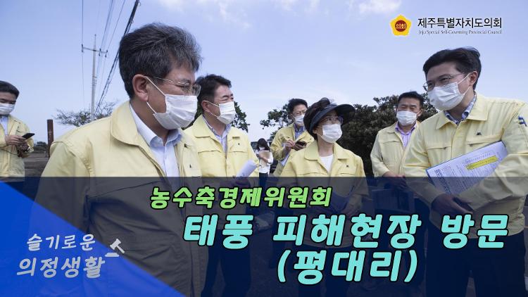 농수축경제위원회 태풍 피해현장 방문(평대리)