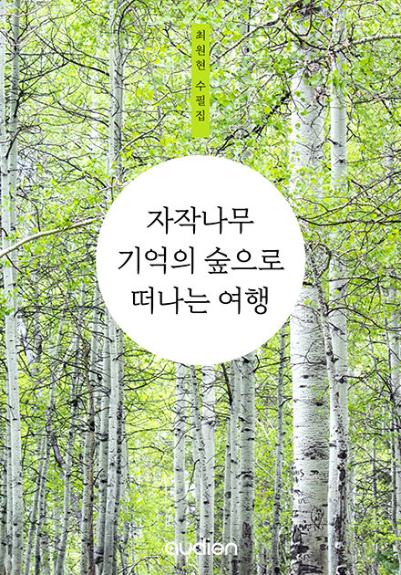 자작나무 기억의 숲으로 떠나는 여행