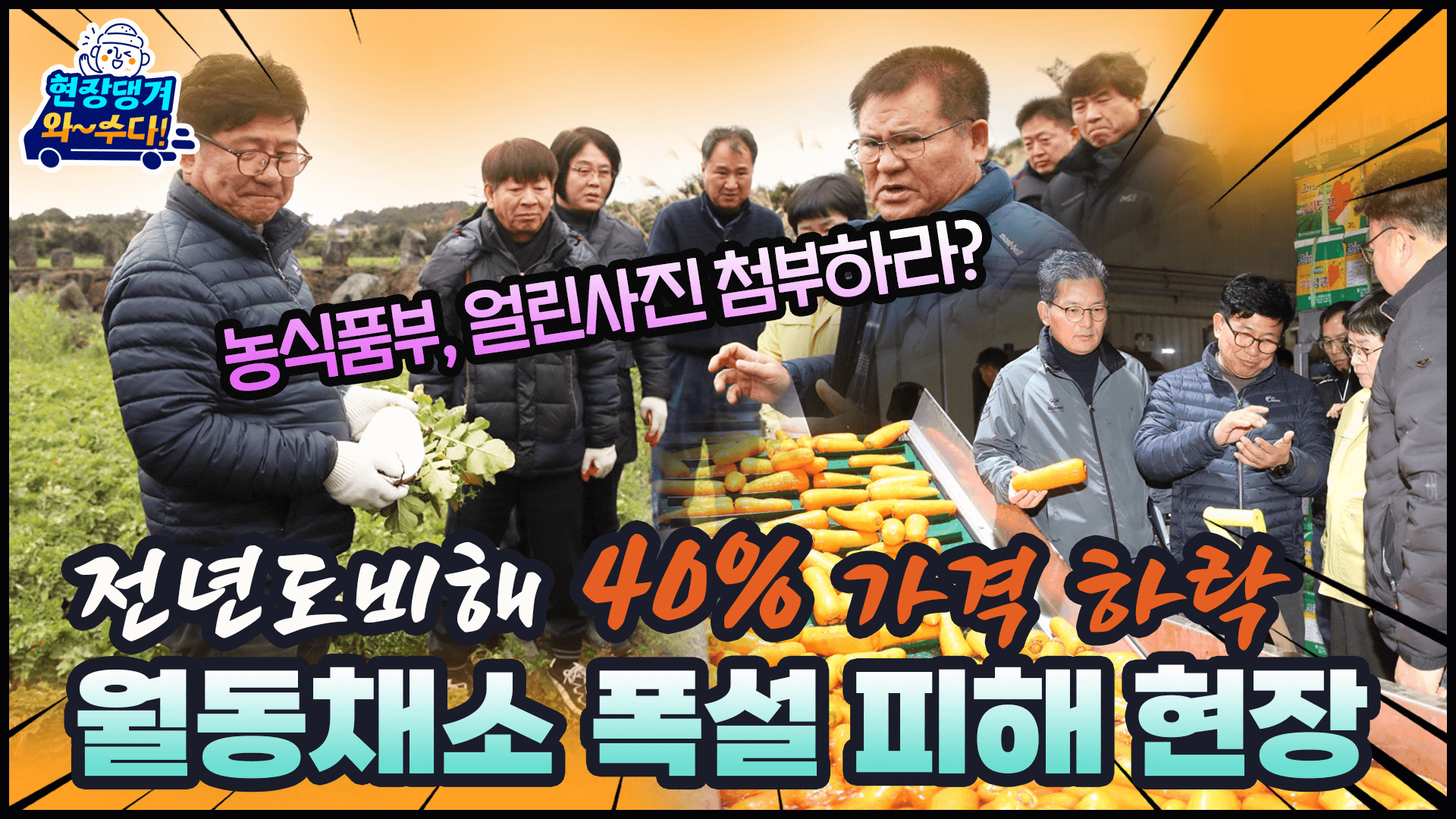 월동채소 폭설 피해 현장방문