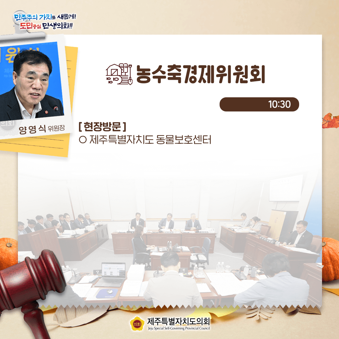 9월 10일(수) 의사 일정