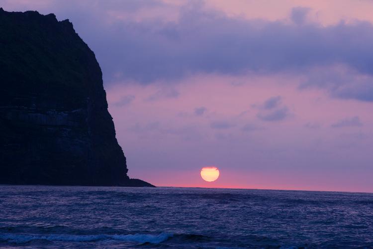 지도자의 선택