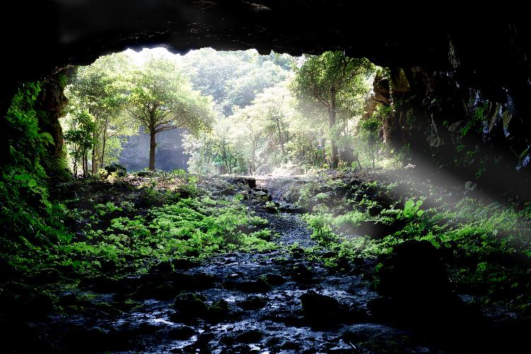 감정의 온도를 높이는 여행 : JEJU